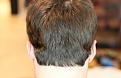 Click image for larger version

Name:	05-dry-back-bottom.jpg
Views:	559
Size:	92.4 KB
ID:	466801