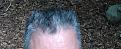 Click image for larger version

Name:	IMG_20140703_125534.jpg
Views:	413
Size:	36.6 KB
ID:	467400