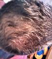Click image for larger version

Name:	IMG_20140703_125608.jpg
Views:	409
Size:	90.2 KB
ID:	467401
