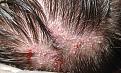 Click image for larger version

Name:	7r.jpg
Views:	442
Size:	75.6 KB
ID:	467771