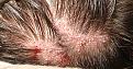 Click image for larger version

Name:	8r.jpg
Views:	445
Size:	74.8 KB
ID:	467772