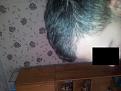 Click image for larger version

Name:	20140804_172631.jpg
Views:	313
Size:	80.6 KB
ID:	467812