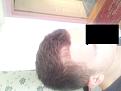 Click image for larger version

Name:	no flash.jpg
Views:	309
Size:	79.6 KB
ID:	467816