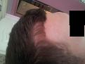 Click image for larger version

Name:	no flash 4.jpg
Views:	304
Size:	84.2 KB
ID:	467819