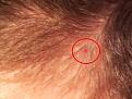 Click image for larger version

Name:	20140807_161549.jpg
Views:	22315
Size:	87.3 KB
ID:	467853