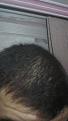 Click image for larger version

Name:	20140810_011627.jpg
Views:	492
Size:	97.3 KB
ID:	467870