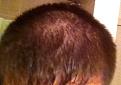 Click image for larger version

Name:	Hair.JPG
Views:	550
Size:	29.9 KB
ID:	469425