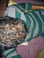 Click image for larger version

Name:	IMG-20141102-WA0020.jpg
Views:	1030
Size:	98.2 KB
ID:	469720
