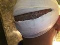 Click image for larger version

Name:	IMG_0277.JPG
Views:	800
Size:	96.1 KB
ID:	469892