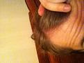 Click image for larger version

Name:	IMG_4003.jpg
Views:	525
Size:	32.4 KB
ID:	470071