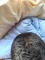 Click image for larger version

Name:	IMG_1899.jpg
Views:	567
Size:	88.8 KB
ID:	470371