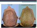 Click image for larger version

Name:	Slide3.JPG
Views:	641
Size:	66.9 KB
ID:	474278