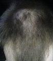 Click image for larger version

Name:	IMG_2429.JPG
Views:	513
Size:	63.9 KB
ID:	474782