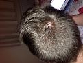 Click image for larger version

Name:	IMG_8591.jpg
Views:	6473
Size:	92.7 KB
ID:	475274
