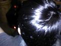 Click image for larger version

Name:	IMG_20160210_063804.jpg
Views:	311
Size:	76.6 KB
ID:	475942
