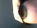 Click image for larger version

Name:	IMG_0647.jpg
Views:	331
Size:	91.8 KB
ID:	478044