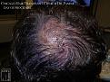 Click image for larger version

Name:	Slide14.JPG
Views:	308
Size:	96.4 KB
ID:	478094