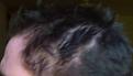 Click image for larger version

Name:	hair3.jpg
Views:	381
Size:	93.7 KB
ID:	478352