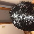 Click image for larger version

Name:	IMG_4905.jpg
Views:	934
Size:	44.3 KB
ID:	480183