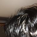 Click image for larger version

Name:	IMG_4910.jpg
Views:	740
Size:	51.8 KB
ID:	480186