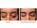 Click image for larger version

Name:	eyebrow mandii.001.jpg
Views:	392
Size:	11.2 KB
ID:	482143