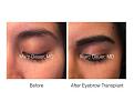 Click image for larger version

Name:	eyebrow mandii.003.jpg
Views:	921
Size:	11.6 KB
ID:	482144