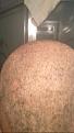 Click image for larger version

Name:	IMG_1123.jpg
Views:	545
Size:	6.9 KB
ID:	482311