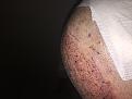Click image for larger version

Name:	IMG_2926.jpg
Views:	1041
Size:	86.8 KB
ID:	482374