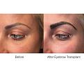 Click image for larger version

Name:	Amanda Eyebrows .002.jpg
Views:	225
Size:	12.8 KB
ID:	482886