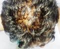 Click image for larger version

Name:	4. MID SCALP.jpg
Views:	127
Size:	88.6 KB
ID:	483133