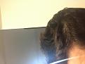 Click image for larger version

Name:	IMG_0808.jpg
Views:	376
Size:	91.9 KB
ID:	483209