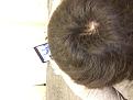 Click image for larger version

Name:	IMG_8121.jpg
Views:	349
Size:	86.7 KB
ID:	483569