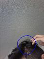 Click image for larger version

Name:	20171028_172544.jpg
Views:	293
Size:	90.6 KB
ID:	483956