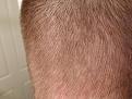 Click image for larger version

Name:	hair3-01.jpg
Views:	289
Size:	17.4 KB
ID:	485675