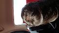 Click image for larger version

Name:	20170124_143144.jpg
Views:	362
Size:	94.9 KB
ID:	486054