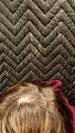Click image for larger version

Name:	IMG_0216.jpg
Views:	293
Size:	99.8 KB
ID:	487729