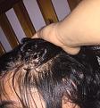 Click image for larger version

Name:	IMG_7142.jpg
Views:	472
Size:	92.2 KB
ID:	488107
