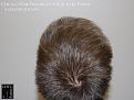 Click image for larger version

Name:	Slide21.jpg
Views:	203
Size:	69.8 KB
ID:	488532