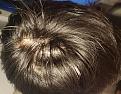 Click image for larger version

Name:	hat hair whorl.jpg
Views:	183
Size:	99.2 KB
ID:	491618