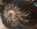 Click image for larger version

Name:	wet whorl light 2.jpg
Views:	184
Size:	97.2 KB
ID:	491620