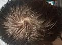 Click image for larger version

Name:	wet whorl light.jpg
Views:	175
Size:	97.1 KB
ID:	491621