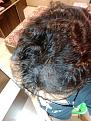 Click image for larger version

Name:	IMG_20200504_110643918.jpg
Views:	149
Size:	90.1 KB
ID:	495099