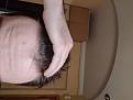 Click image for larger version

Name:	IMG_20200825_225943.jpg
Views:	206
Size:	83.0 KB
ID:	495953