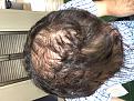 Click image for larger version

Name:	Top of the head.jpg
Views:	187
Size:	94.2 KB
ID:	496073