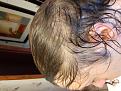 Click image for larger version

Name:	20200803_131127.jpg
Views:	150
Size:	94.6 KB
ID:	497112