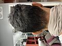 Click image for larger version

Name:	IMG_8785.jpg
Views:	128
Size:	95.5 KB
ID:	497955