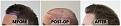 Click image for larger version

Name:	LeftProfile-Forums-1.jpg
Views:	215
Size:	107.4 KB
ID:	500095