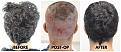 Click image for larger version

Name:	Donor-Forums.jpg
Views:	153
Size:	102.0 KB
ID:	500124