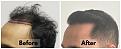 Click image for larger version

Name:	LeftProfile-Forum.jpg
Views:	184
Size:	98.0 KB
ID:	500452