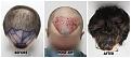Click image for larger version

Name:	Top-Forum.jpg
Views:	257
Size:	98.5 KB
ID:	502076